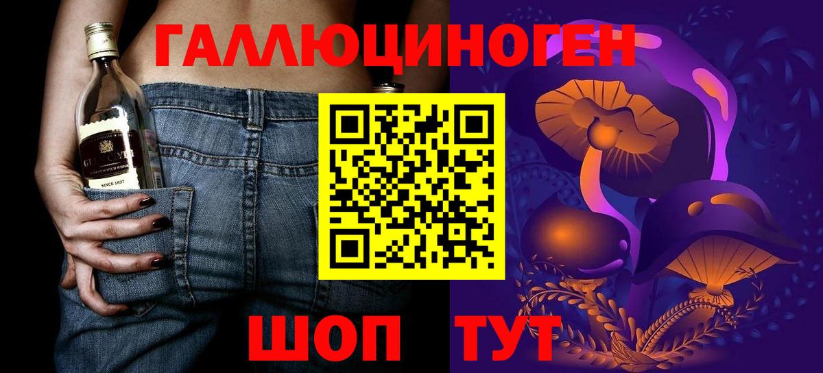 Псилоцибиновые грибы Psilocybine cubensis Ковров
