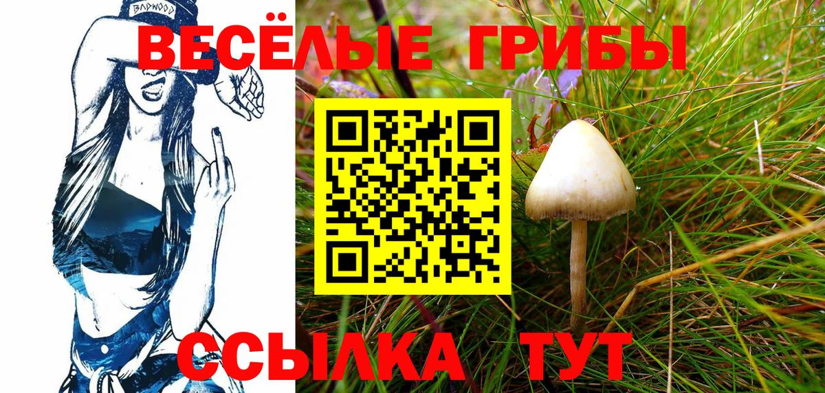 Псилоцибиновые грибы Psilocybe  Псилоцибиновые грибы прущие грибы  Ковров  Вход с VPN 